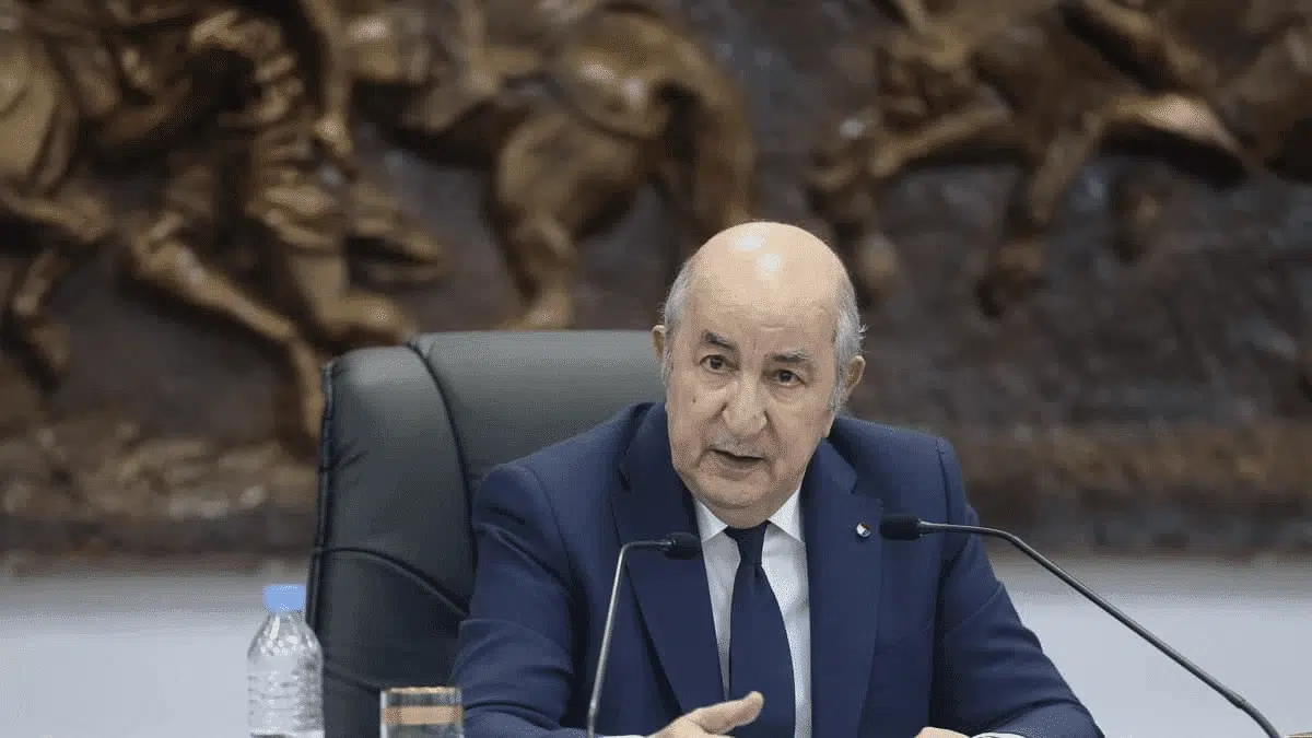 Tebboune sur les incendies : « Il y a quelque chose de criminel »