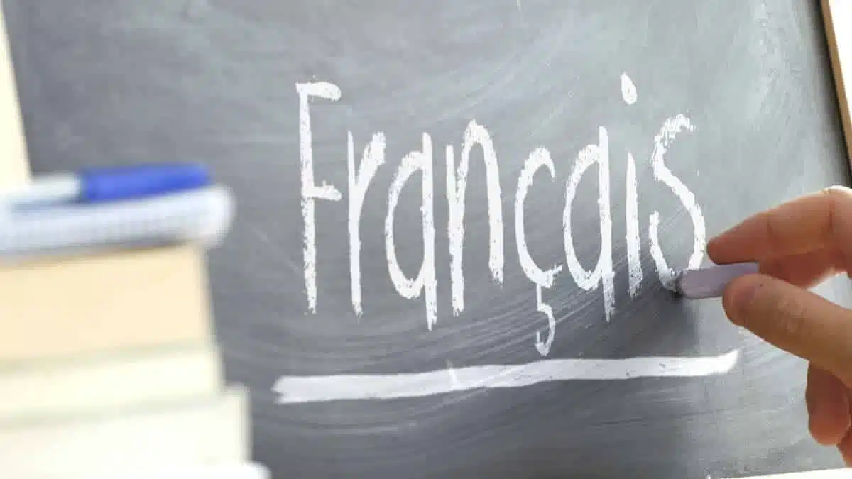 Place du français en Algérie : polémique entre un pédagogue et un ancien ministre
