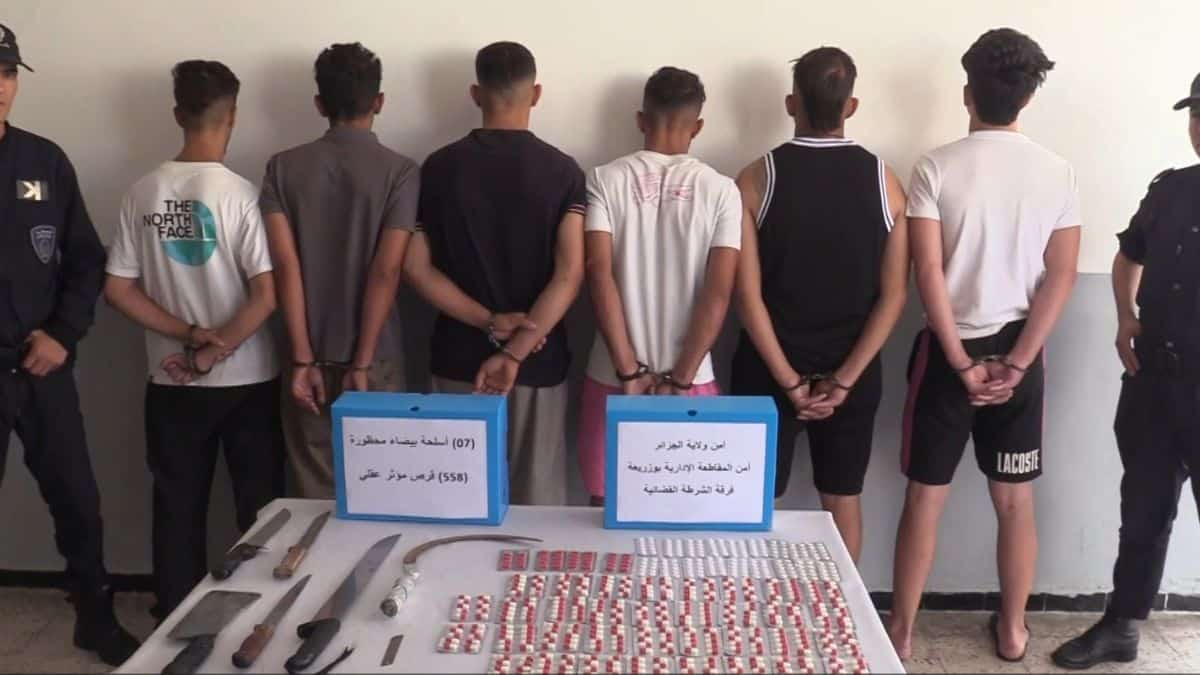 Opération spectaculaire de la police contre les bandes de quartiers à Alger : 42 arrestations‬