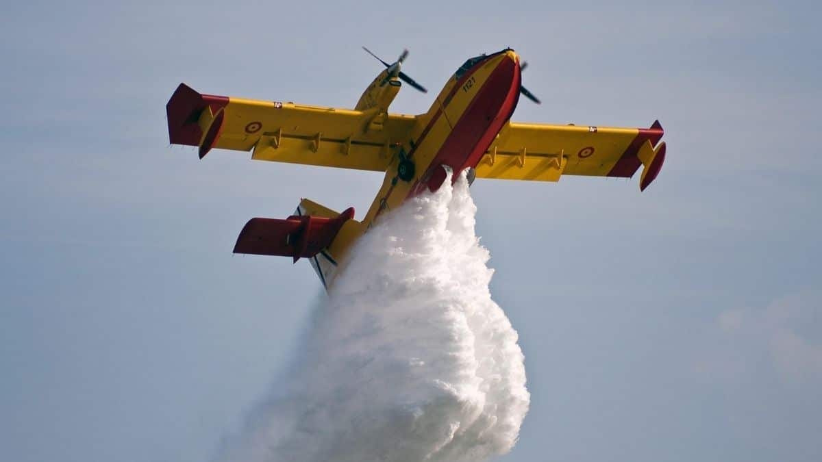 Incendies meurtriers à Jijel : pourquoi les avions n&rsquo;ont pu intervenir
