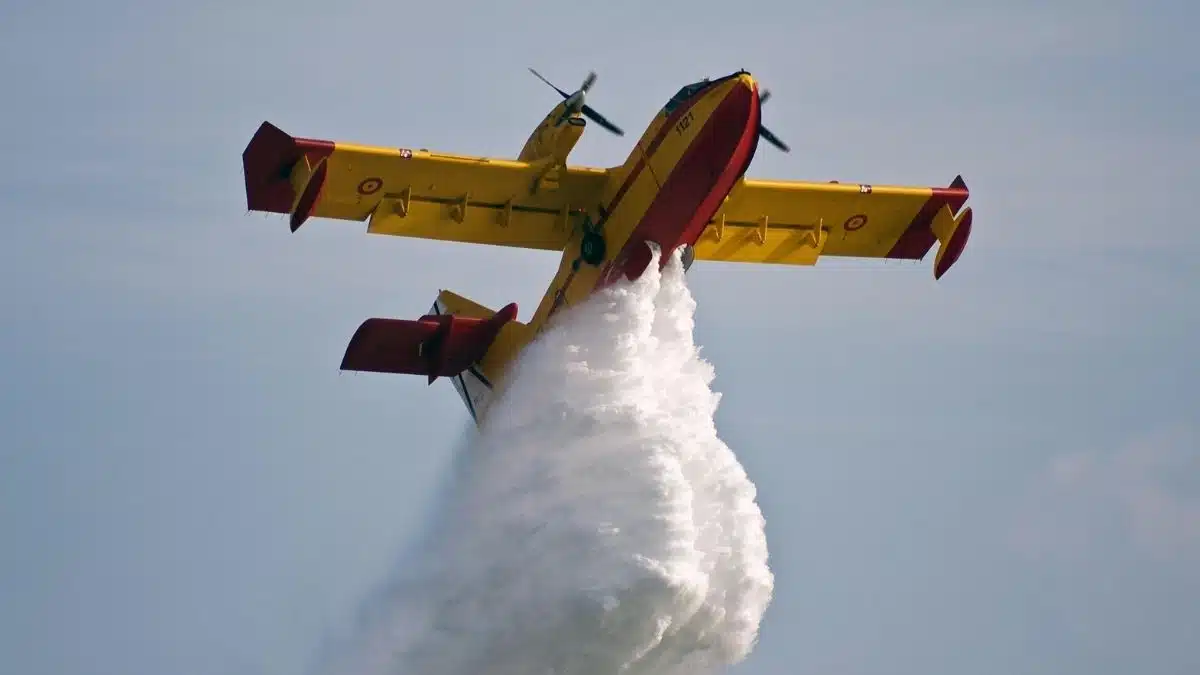 Incendies meurtriers à Jijel : pourquoi les avions n’ont pu intervenir