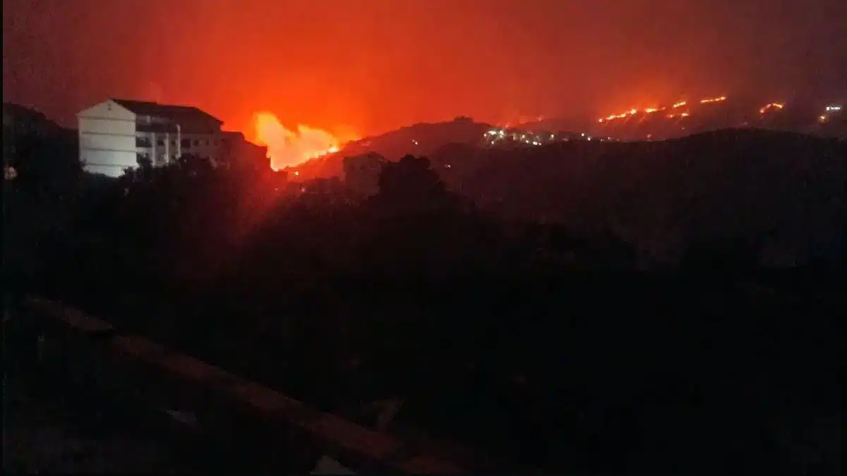 Incendies en Algérie : 12 morts et 54 blessés