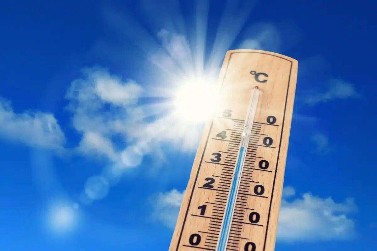 Alerte pluie et canicule en Algérie : les régions concernées