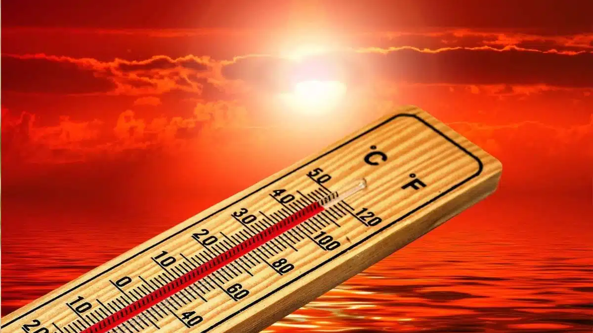 Alerte à la canicule en Algérie : jusqu’à 49 °C, les régions concernées