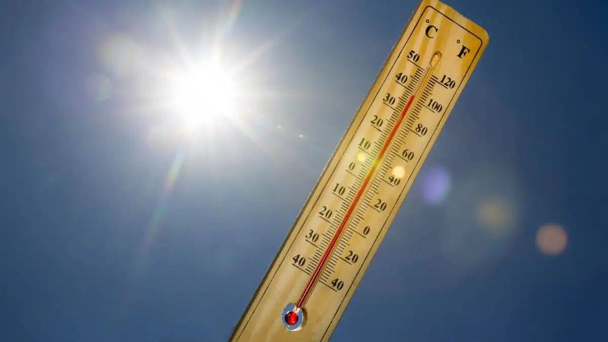 Canicule, orages et pluie en Algérie : les régions concernées