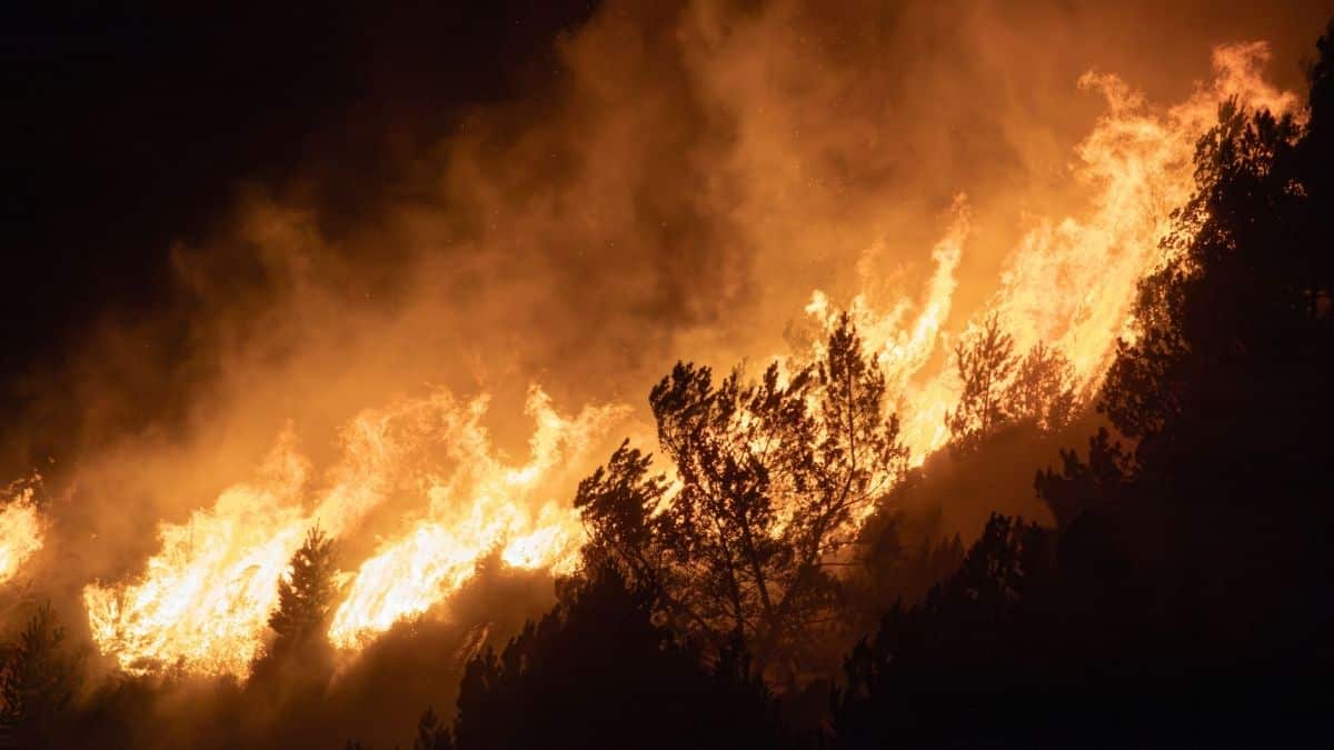 À Jijel, un policier meurt en héros en secourant des familles piégées par les flammes