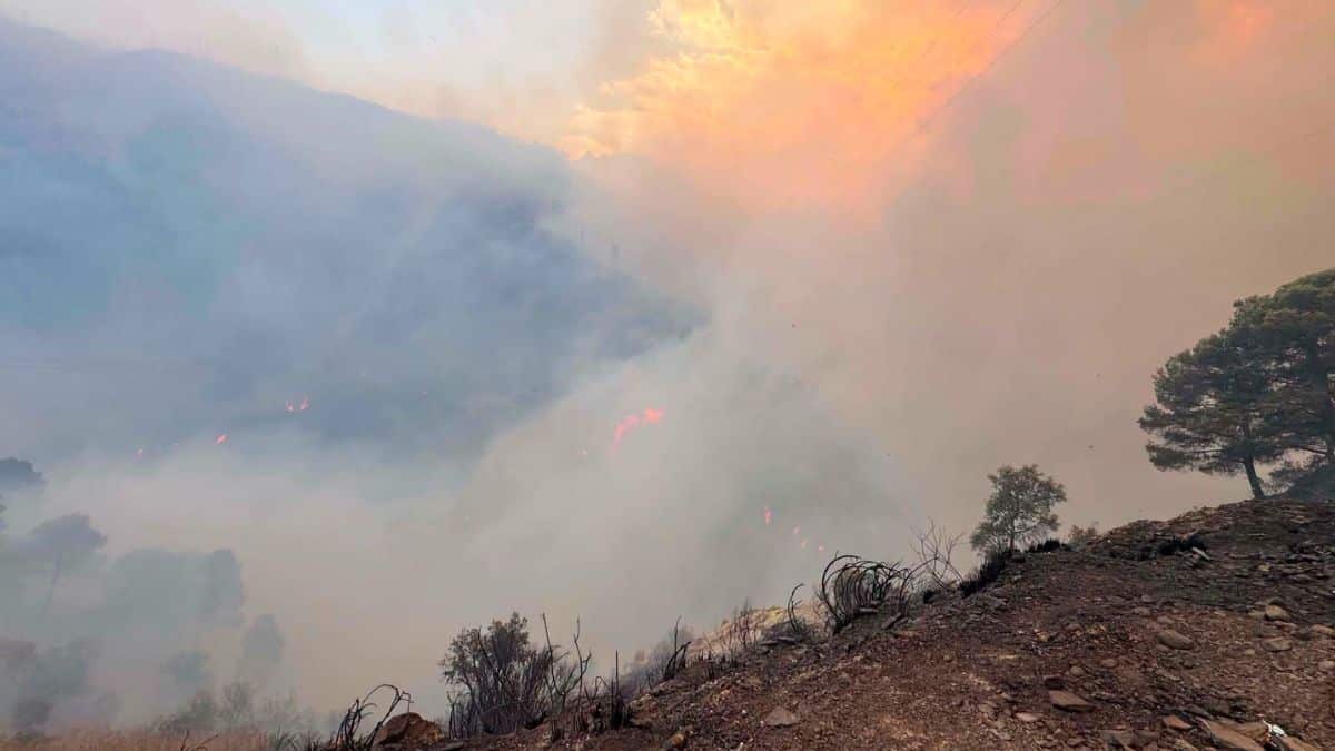Incendies à Béjaïa : deux morts et des familles évacuées