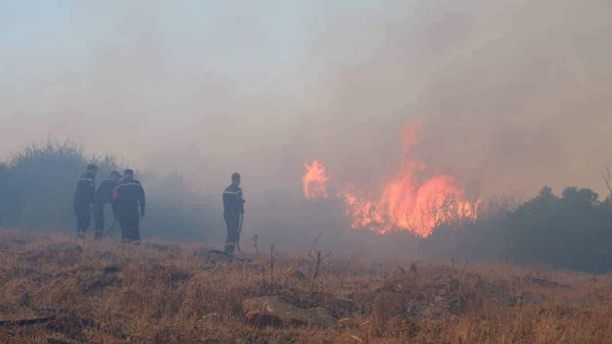 Feux de forêt : scènes d’apocalypse à l’Est de Bejaïa