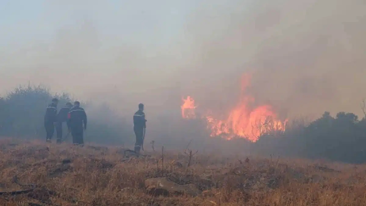 Feux de forêt : scènes d’apocalypse à l’Est de Bejaïa