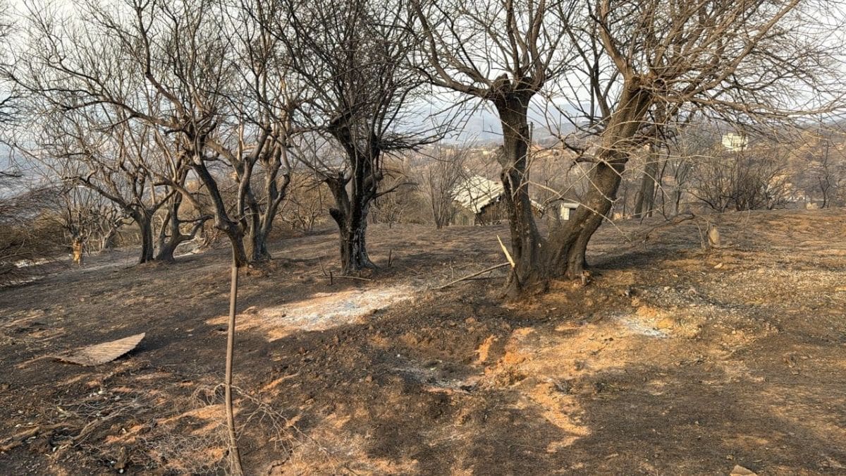 Vidéo. Incendies à Jijel : les images impressionnantes des dégâts