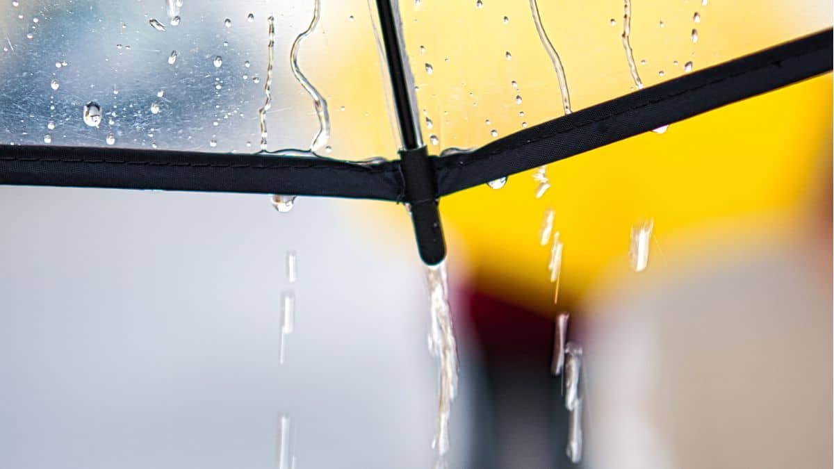 Alerte aux fortes pluies en Algérie : les régions concernées