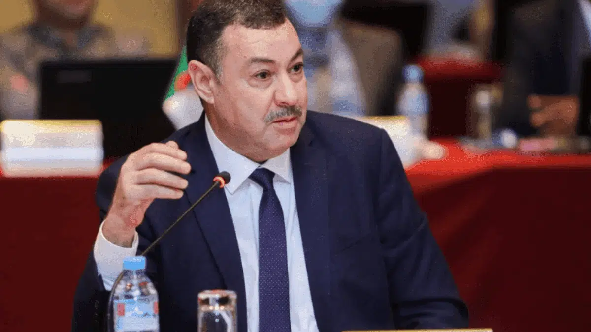 Incendies tragiques en Algérie : Saïd Sayoud annonce des « enquêtes approfondies »
