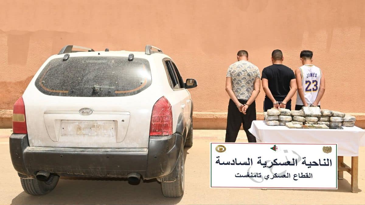 Tamanrasset : 31 kg de cocaïne découverts dans un véhicule transporté par semi-remorque