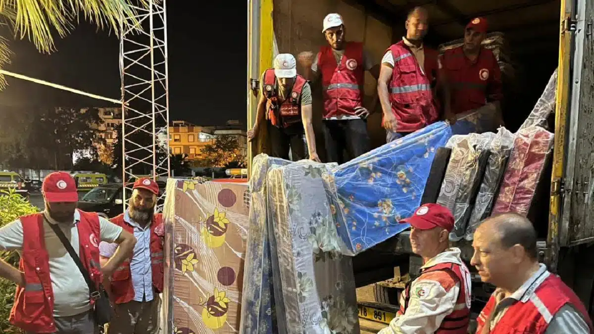 Incendies en Algérie : impressionnant élan de solidarité avec les sinistrés