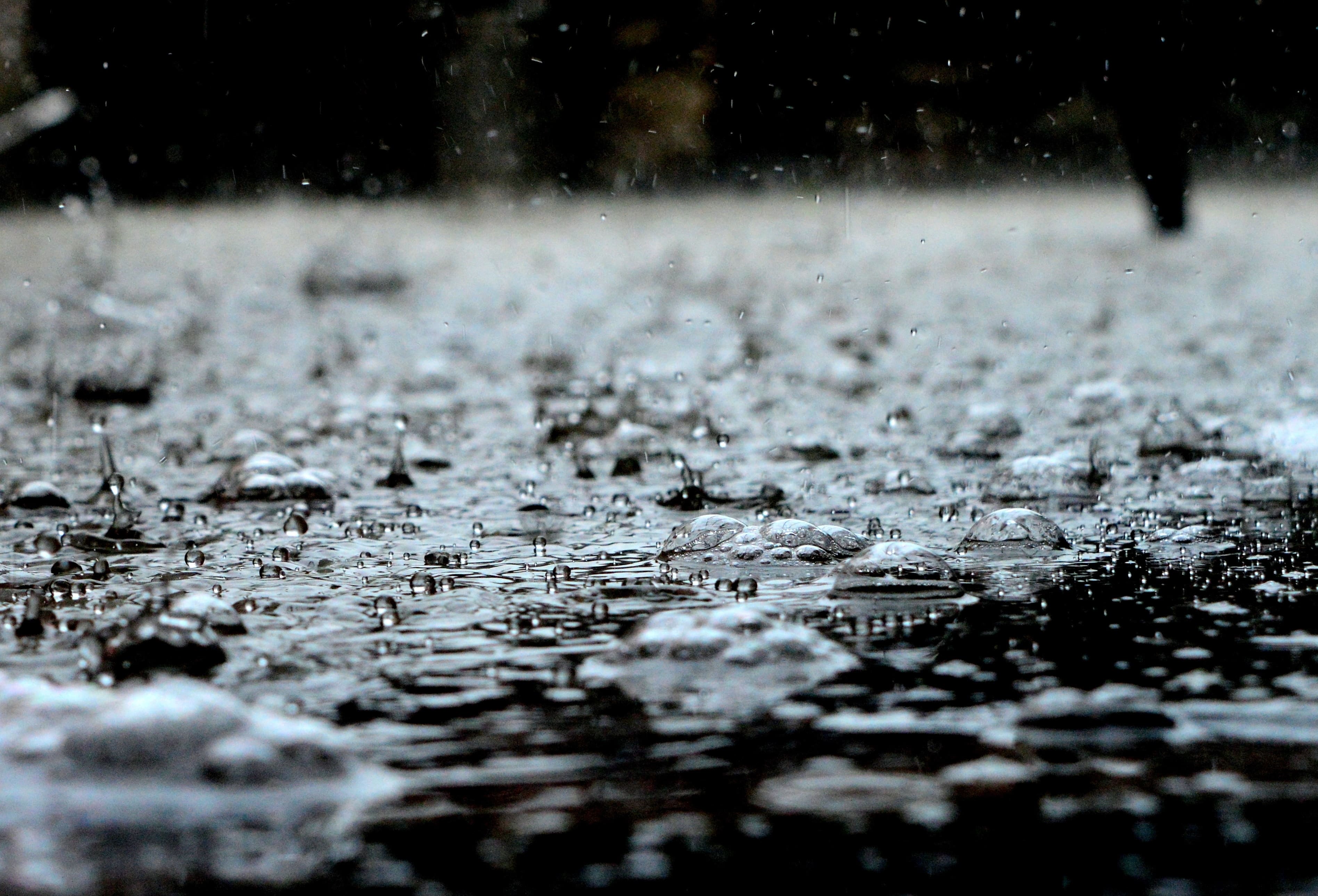 Alerte pluie en Algérie : jusqu’à 50 mm, les régions concernées
