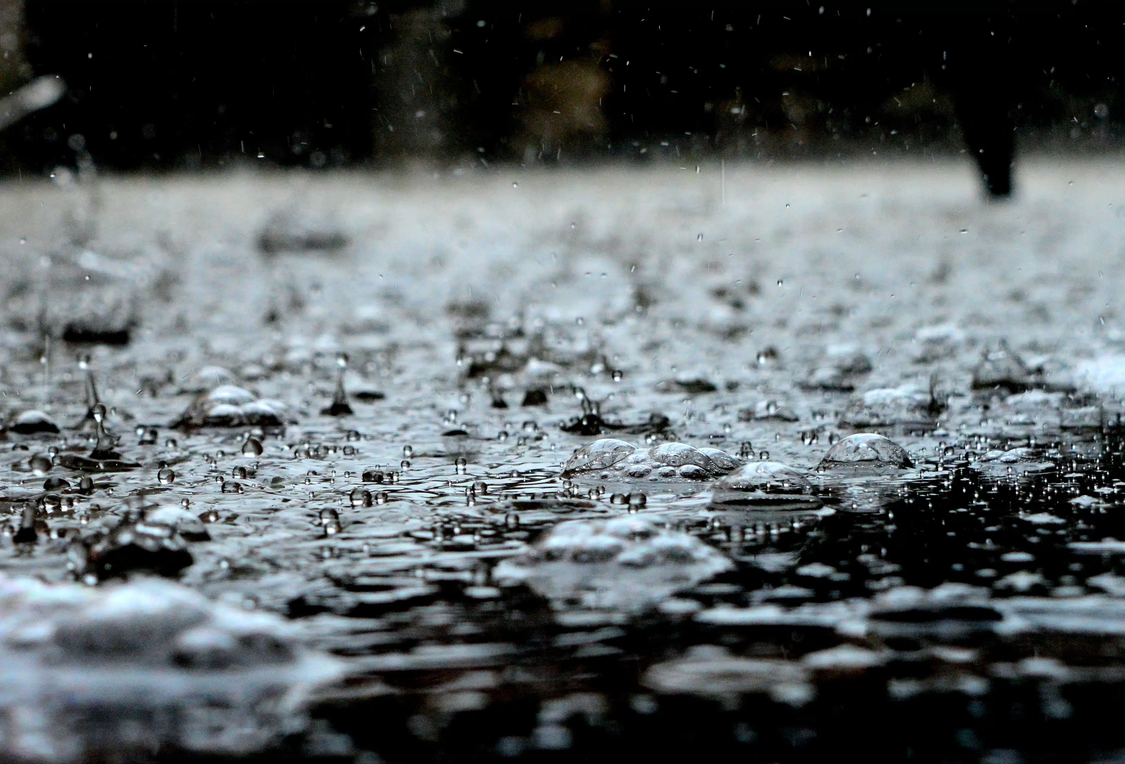 Alerte pluie en Algérie : jusqu’à 50 mm, les régions concernées