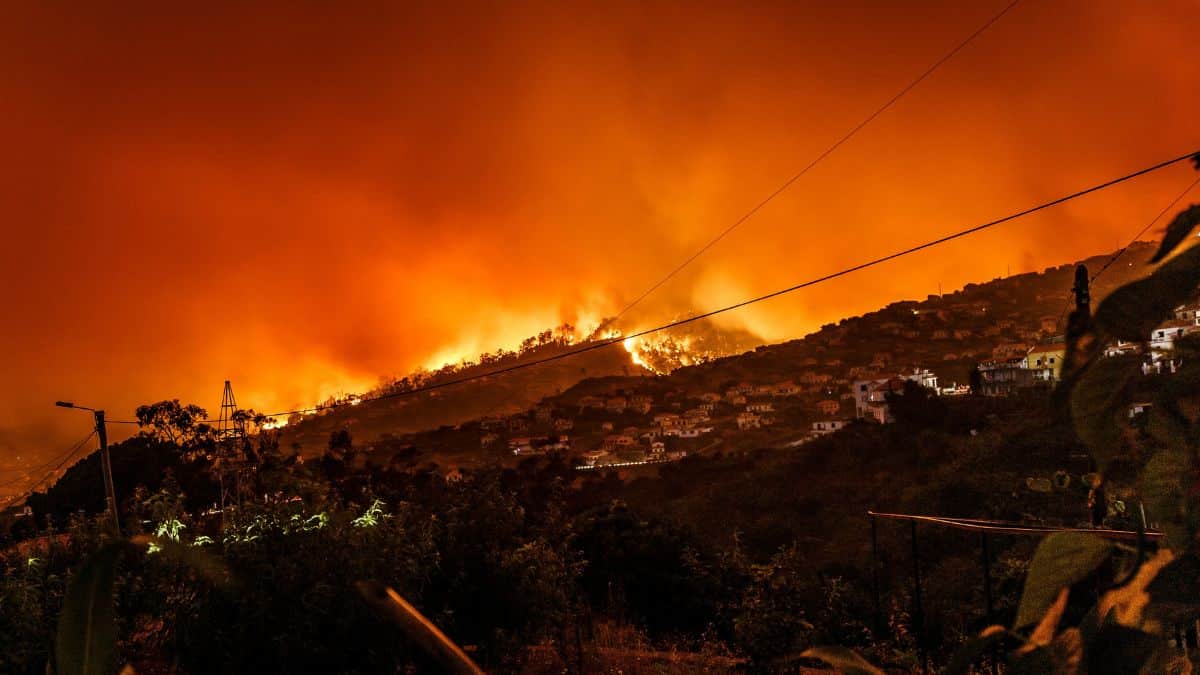 À Jijel, un homme échappe aux flammes en se cachant avec un serpent