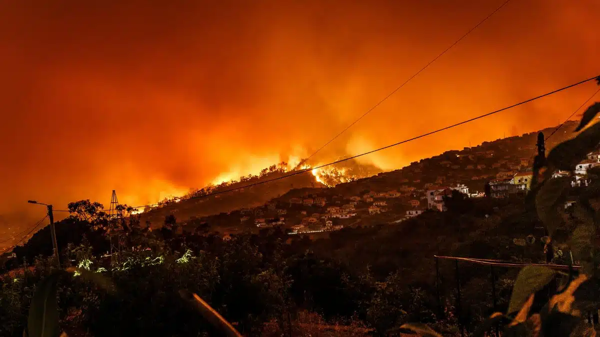 À Jijel, un homme échappe aux flammes en se cachant avec un serpent