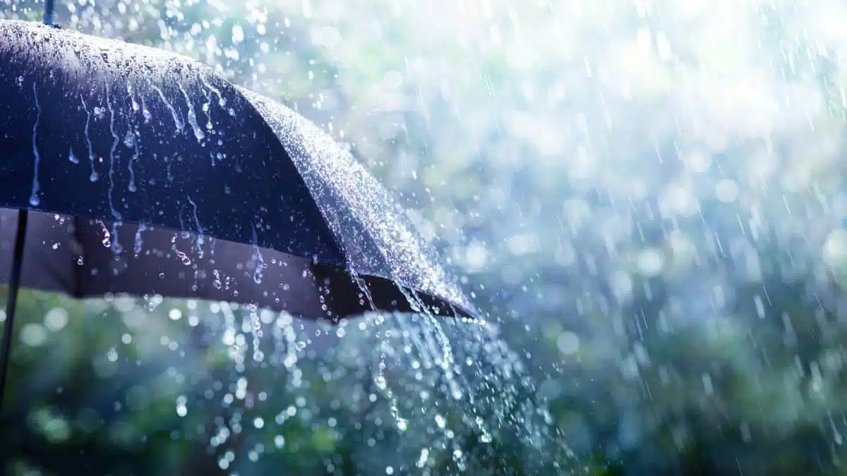 Nouveau BMS pluie en Algérie : les régions concernées