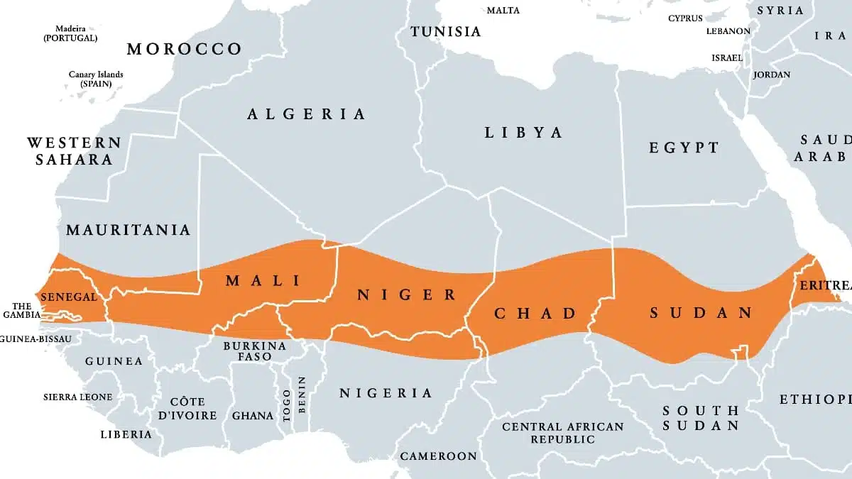 L’Algérie face au Sahel : reconquête et stabilisation d’une profondeur stratégique