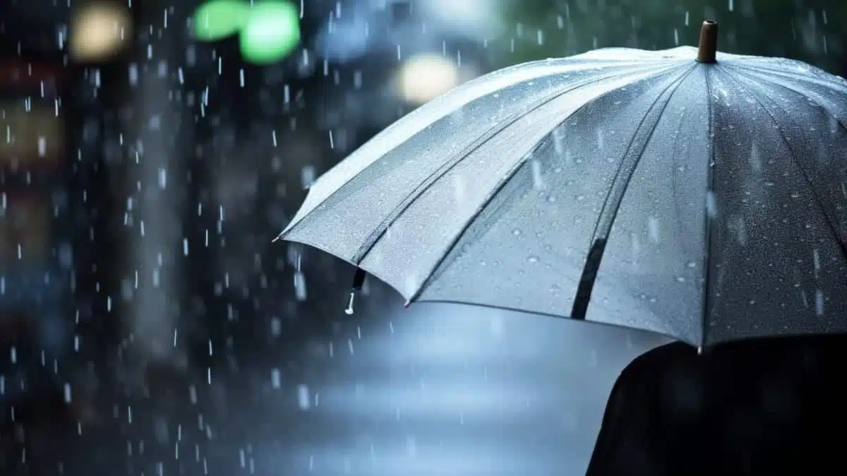 Alerte pluie et orage en Algérie : les régions concernées