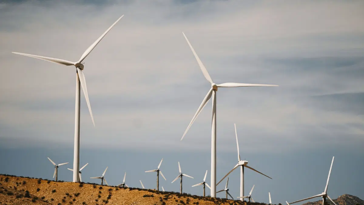 Réalisation de deux fermes éoliennes de 100 MW chacune : l’Algérie change de méthode