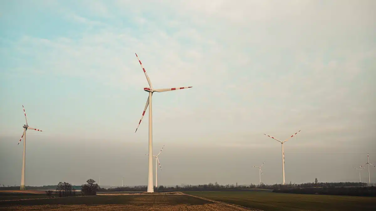 L’Algérie lance le processus de construction de deux fermes éoliennes de 100 MW chacune