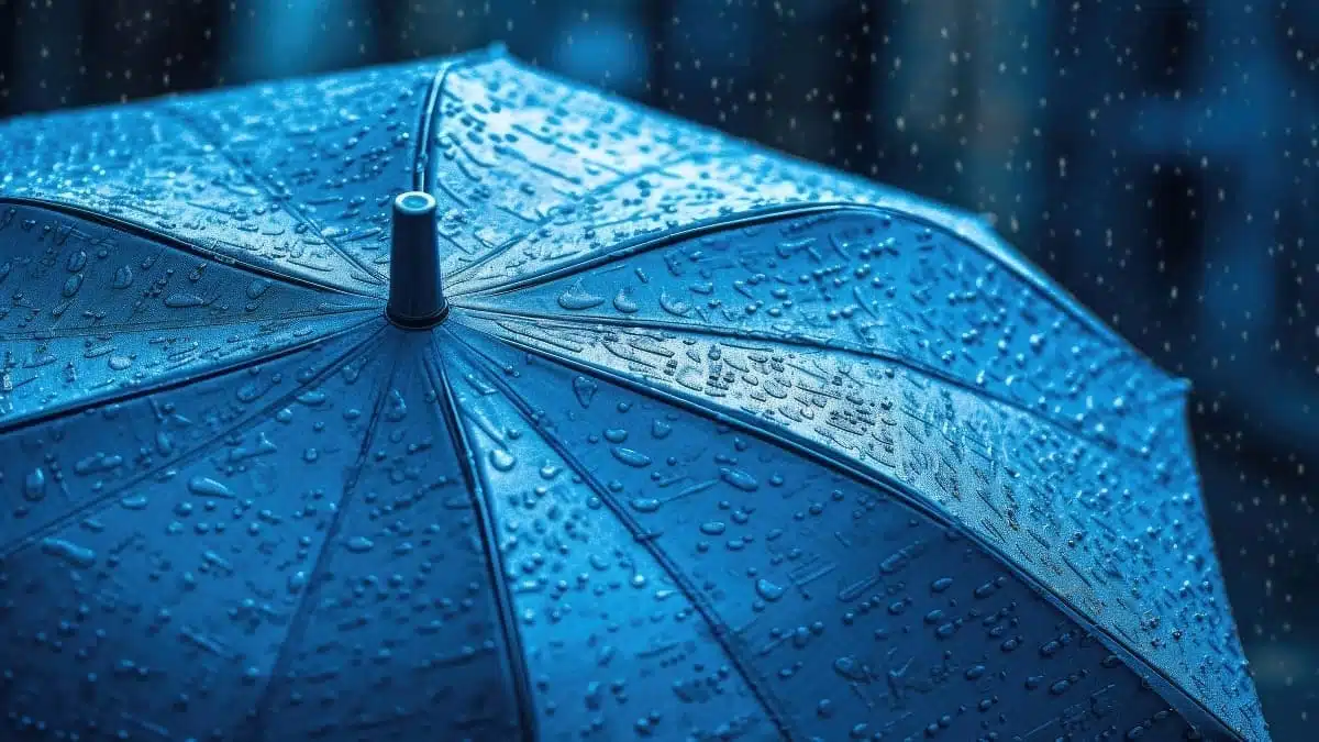 Alerte pluie en Algérie : jusqu’à 50 mm, les régions concernées