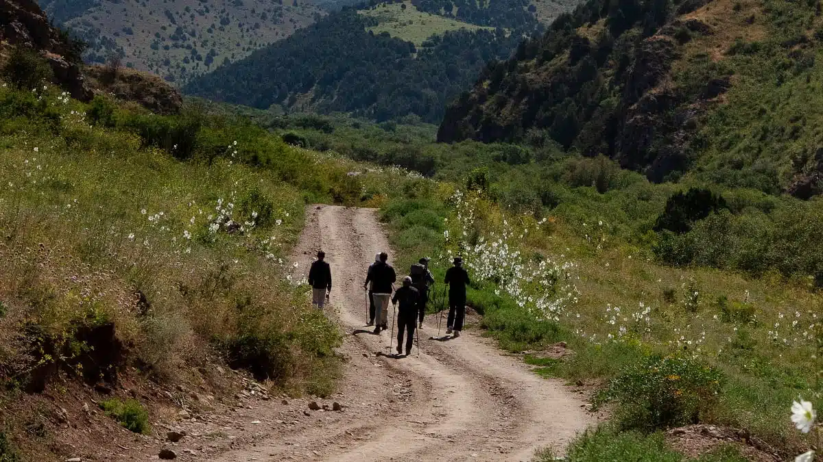 Randonnées en Algérie : la nouvelle manne des voyagistes et des guides