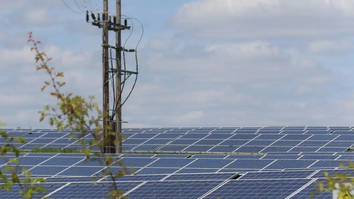 Éolien, solaire, hydrogène : le « pétrole vert » doit être « transformé » en Algérie